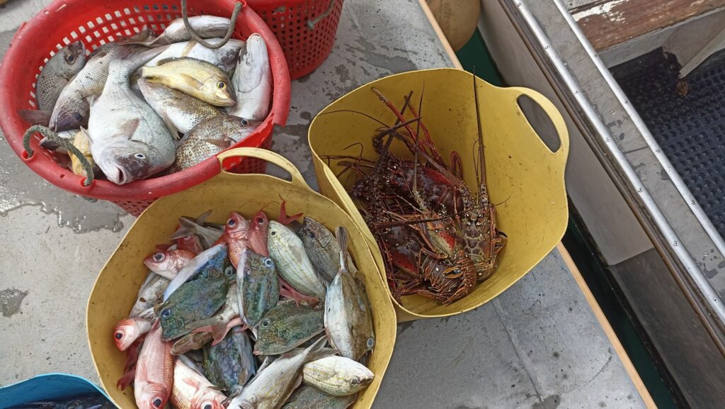 pêche en guadeloupe