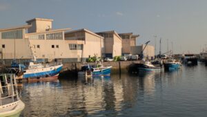 port de pêche La Turballe